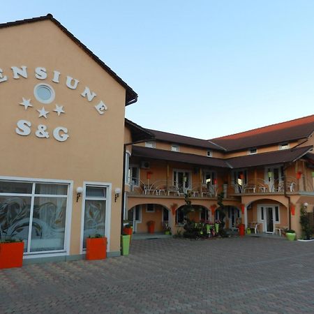 Pensiunea Sergiu & Geanina Arad Zewnętrze zdjęcie